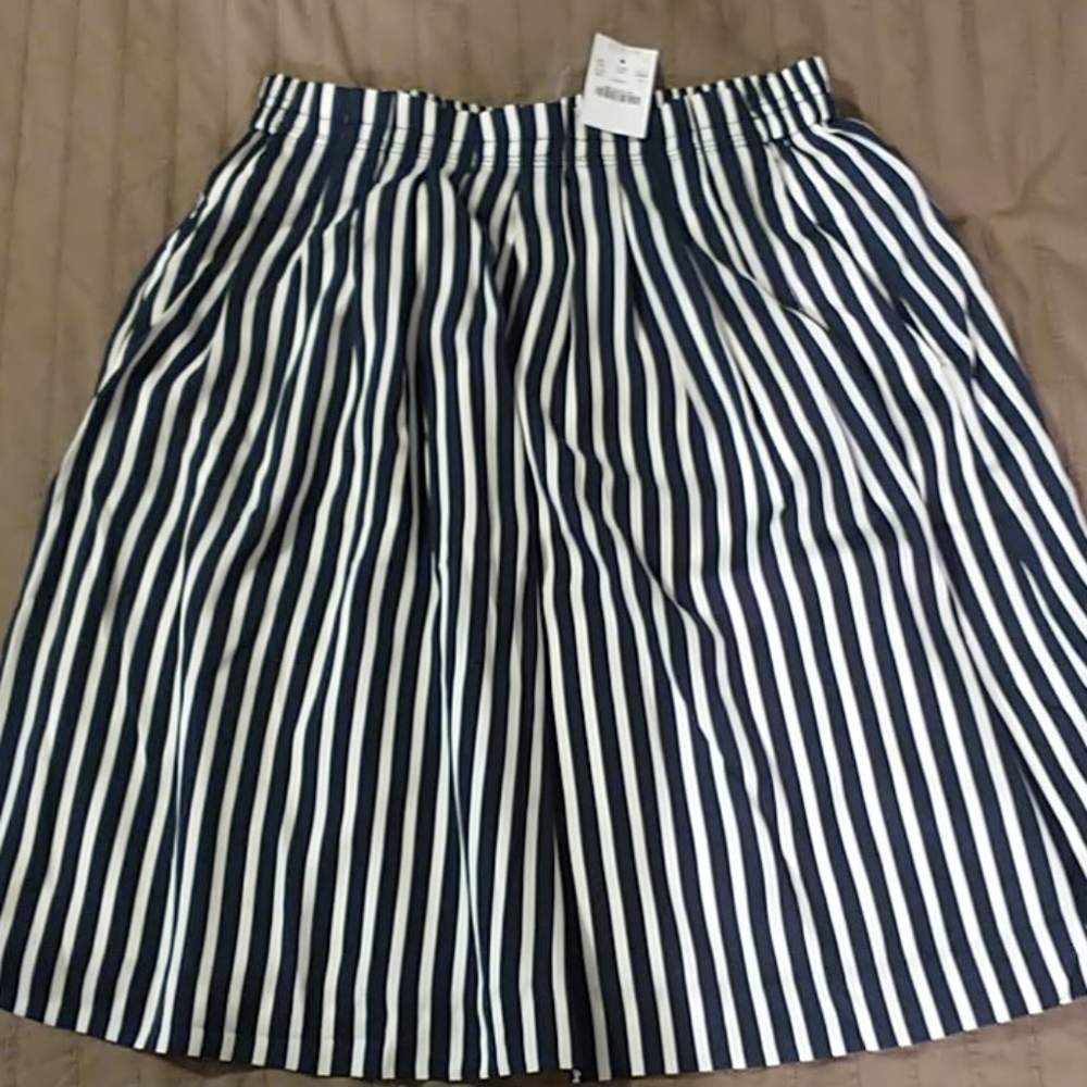 Blue and white striped J Crew Skirt